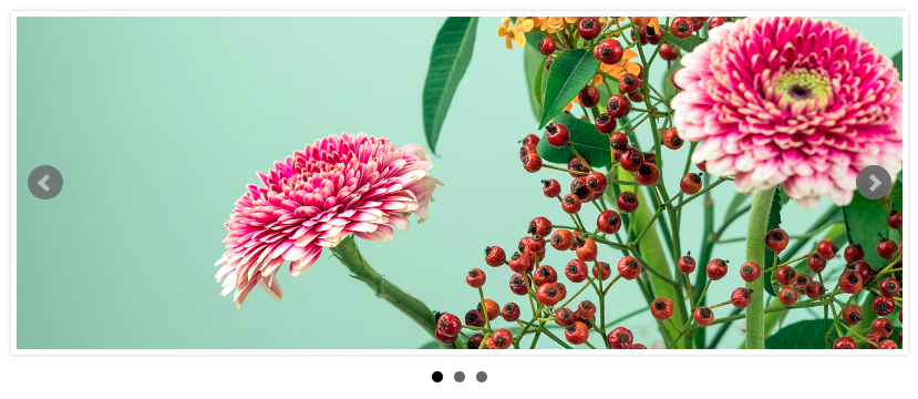 bxSlider sample slideshow