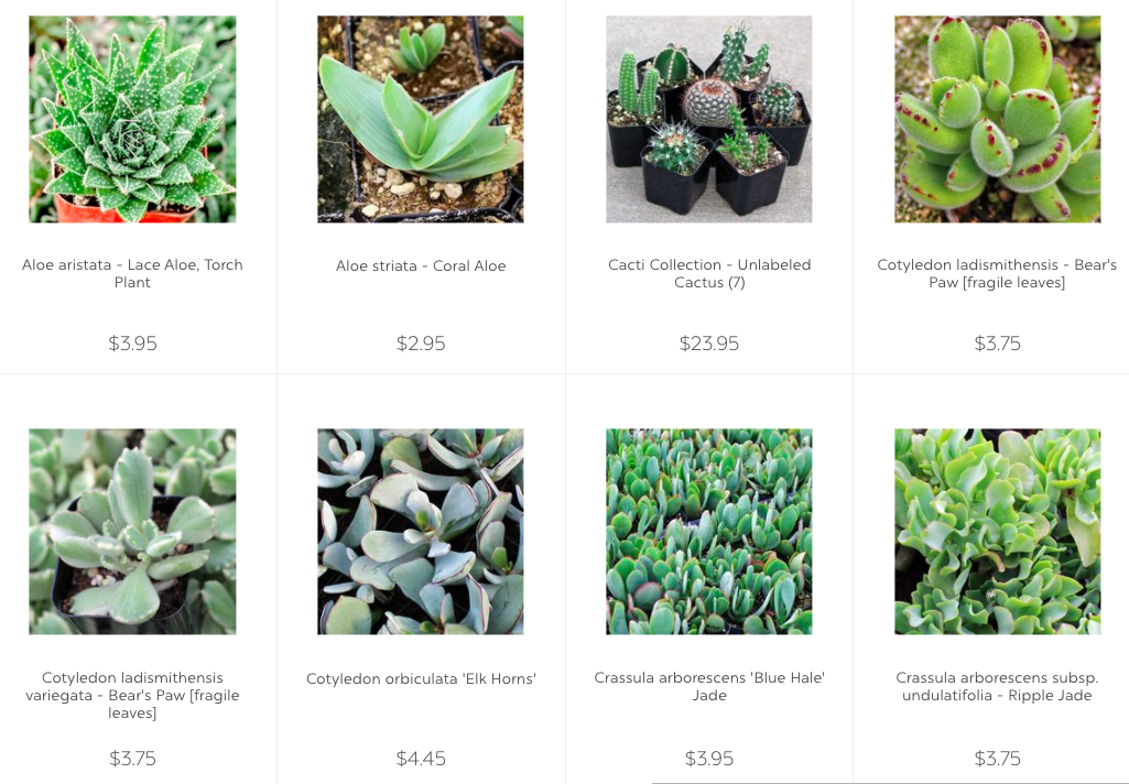 Mountain Crest Gardens indoor succulents page thumbnails